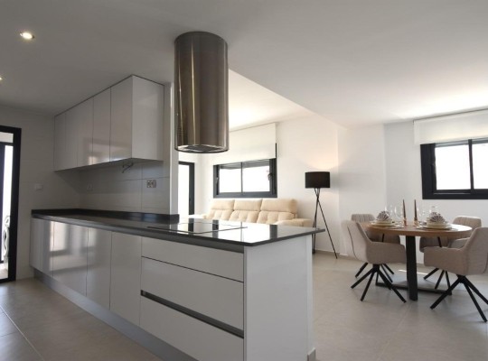 San Miguel de Salinas (Pueblo), Apartment #CQ-00-91028