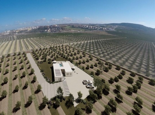 Algorfa (Lomas De La Juliana), Villa #RD-N8550