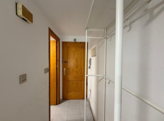 PROSTORNÉ STUDIO 350 METRŮ OD PLÁŽE DEL CURA S PROSKLENOU TERASOU