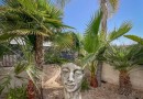 Other areas (San Javier), Apartment #CQ-HS-32320