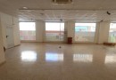 Torrevieja (Estacion de autobuses), Commercial #CQ-JM-28436