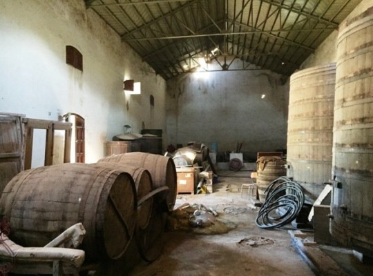 Other areas (La Matanza), Finca #CQ-GL-85543
