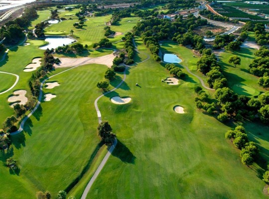 Pilar de La Horadada (Lo Romero Golf), Villa #CQ-00-41295
