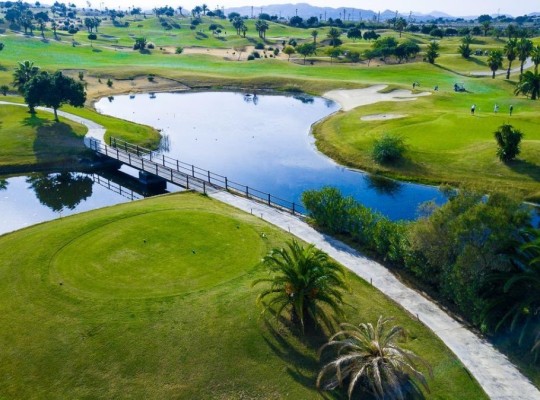 Orihuela Costa (Vistabella golf), Villa #CQ-00-63979