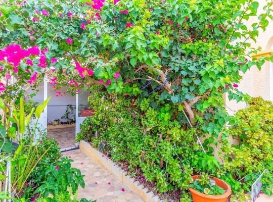 Orihuela Costa (La Zenia- Orihuela costa), Villa #CQ-TS-55839
