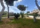 Cabo Roig, Apartment #CQ-M-33675