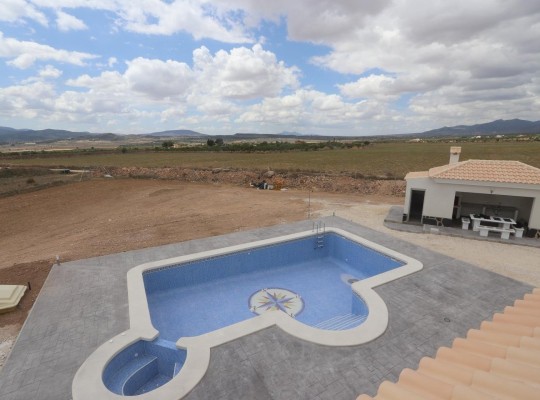 Pinoso (Camino Del Prado), Villa #RD-N7757