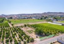 Formentera del Segura (Forementera del Segura), Plot #CQ-GS-60258