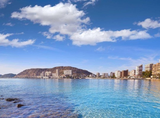 Els Poblets (Partida Barranquets), Villa #RD-N8317