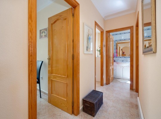Torrevieja (Aguas Nuevas), Semi Detached #CQ-MY-18877