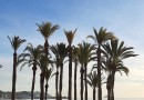 Přízemní apartmán se 2 ložnicemi ve městě Villajoyosa, Costa Blanca Sever.
