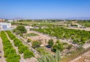 Formentera del Segura (Forementera del Segura), Plot #CQ-GS-60258