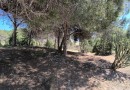 Guardamar del Segura (Pinomar), Bungalow #CQ-864