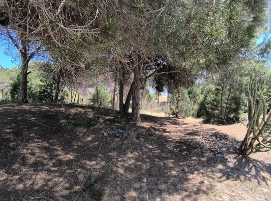 Guardamar del Segura (Pinomar), Bungalow #CQ-864