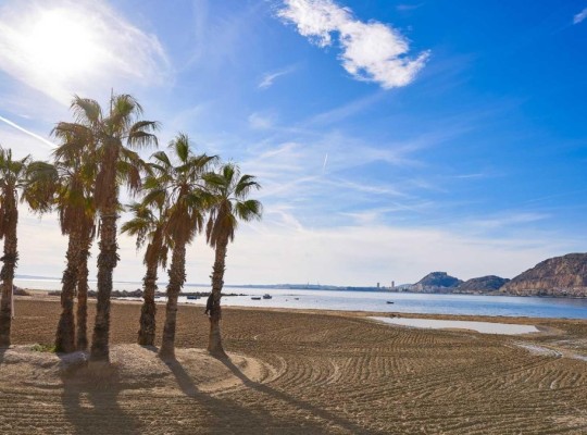 Els Poblets (Partida Barranquets), Villa #RD-N8317