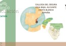 Callosa De Segura, Finca #CQ-SL-23062