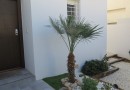 Other areas (Mar de Cristal), Villa #CQ-SD-52400