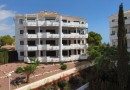 Orihuela Costa (Orihuela costa), Apartment #CQ-SO-75564