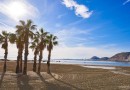 Other areas (Partida Barranquets), Villa #CQ-00-47199