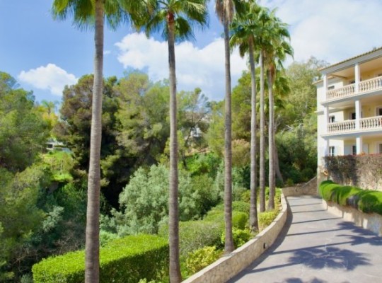 Portals Nous (Calvià), Apartment #CQ-GL-11199
