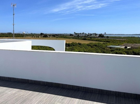 Rojales (Ciudad Quesada), Villa #RD-N8758