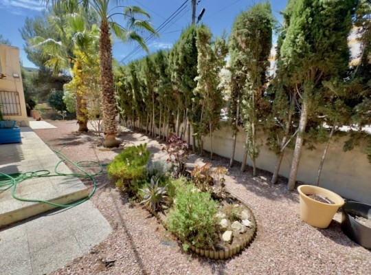 Algorfa, Villa #CQ-853