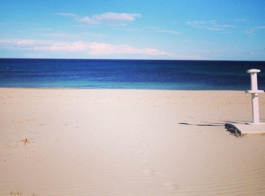 Pilar de La Horadada (Parque Ramon eugenio Escudero), Bungalow #RD-N8689