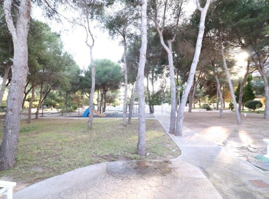 Orihuela Costa (Campoamor), Apartment #CQ-JM-49531