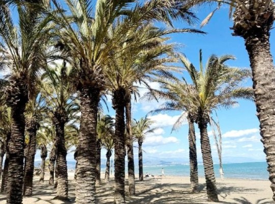 Apartmány v centru Torremolinos, blízko pláže