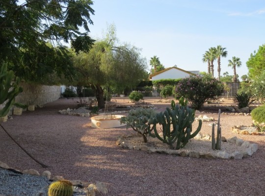 Daya Vieja, Finca #CQ-SD-85383