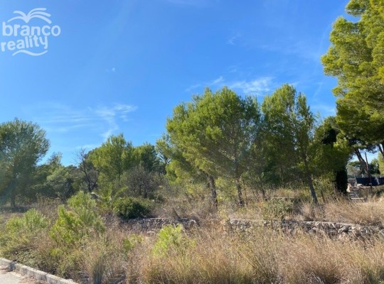 Javea, Plot #AF-X5717