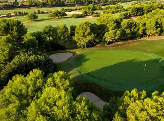 Pilar de La Horadada (Lo Romero Golf), Villa #CQ-00-98967