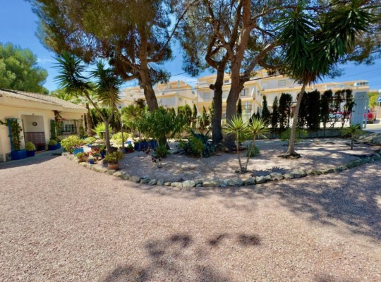 Algorfa, Villa #CQ-853