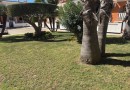 Ciudad Quesada (Dona Pepa), Townhouse #CQ-886