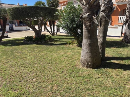 Ciudad Quesada (Dona Pepa), Townhouse #CQ-886