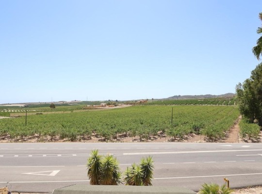 San Miguel de Salinas (Urbanizaciones), Commercial #CQ-JM-76185