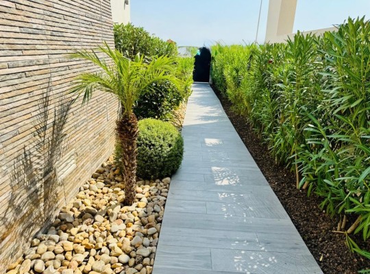 Algorfa (La Finca Golf), Villa #CQ-WN-77432
