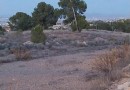 Other areas (Torre Guil), Villa #CQ-00-48177