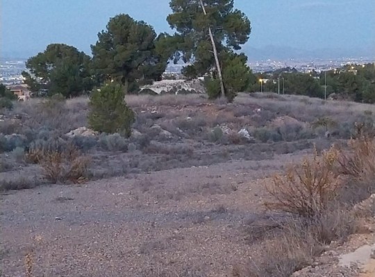Other areas (Torre Guil), Villa #CQ-00-48177