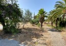 Sierra Blanca (Costa del Sol), Plot - Residential #CM-R4010479