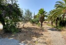 Sierra Blanca (Costa del Sol), Plot - Residential #CM-R4010479