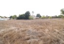 Orihuela Costa (Lomas de Cabo Roig), Plot #CQ-JM-96366