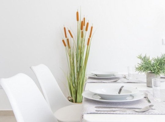 San Javier (Parque de los leones), Villa #RD-N8115