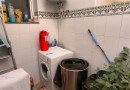 Algorfa (Montebello), Semi Detached #CQ-860