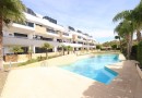 Orihuela Costa (Las Mimosas), Apartment #CQ-JM-81621