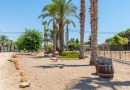 Catral, Finca #CQ-BT-43929