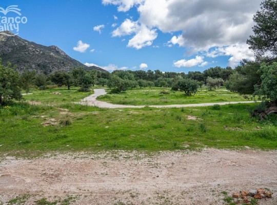 Sierra Blanca (Costa del Sol), Plot - Residential #CM-R4079158