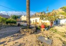 Orihuela (Raiguero de Bonanza), Finca #CQ-PJ-12289