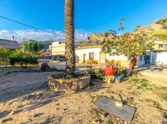 Orihuela (Raiguero de Bonanza), Finca #CQ-PJ-12289