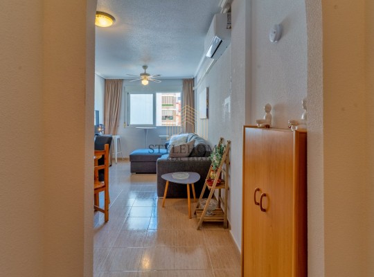Torrevieja (Center Torrevieja), Apartment #CQ-HS-81470